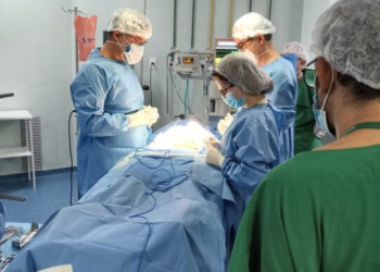 HGV realizou captação de múltiplos órgãos e transplante no último domingo (23)